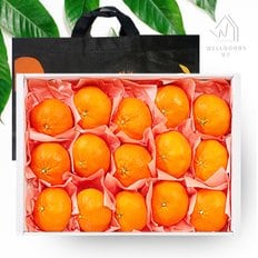 [바로배송][웰굿]제주직송 레드향 선물세트 2.5kg(13-20과,소과,부직포포함)