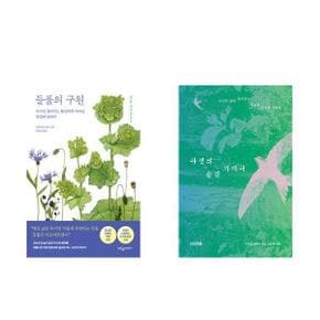 들풀의 구원+야생의 숨결 가까이_P369374274