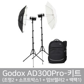 AD300Pro 백팩 키트 아웃도어 플래시 300W 가우포토 공식정품