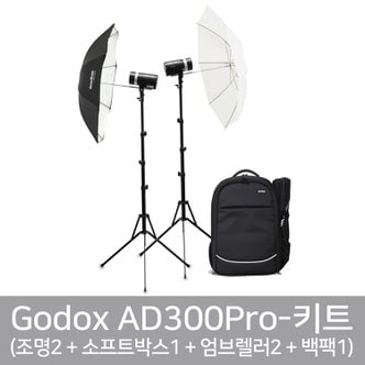 고독스 AD300Pro 백팩 키트 아웃도어 플래시 300W 가우포토 공식정품