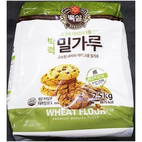 업소용 식당 식자재 재료 백설 박력밀가루 2.5Kg