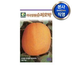 미국장원슈퍼 호박 씨앗 50립 . 야채 채소 텃밭 파종 재배 주말 농장 씨 종자