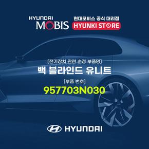 백 블라인드 유니트 (957703N030)