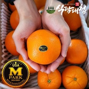 블랙라벨 네이블오렌지 10과 중소과 개당 140-160g 내외
