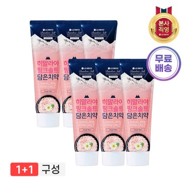 엘지생활건강 히말라야핑크솔트 치약 100g*3(플로럴) x 2개