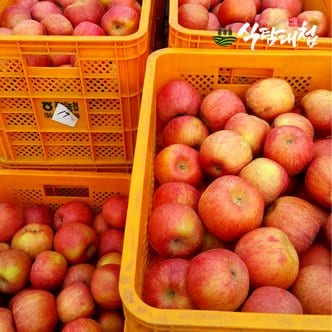 식탐대첩 경북 가정용 못난이 부사 사과 대과 3kg 7-10과