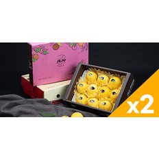 제주 황금향 선물세트 1.5kg (실중량/8과내외) x 2박스