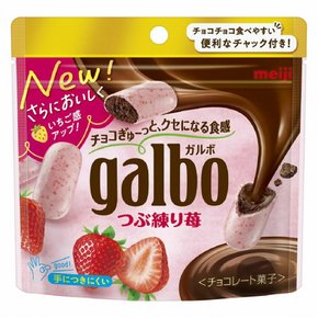 메이지 가르보 galbo 동결건조 딸기 초콜릿 58g