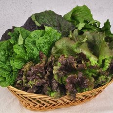 푸르젠 순창직송! 유기농 모듬 쌈채소 800g