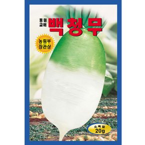 백청 김장 무씨앗 20g