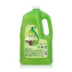  자연퐁 솔잎 3920ML