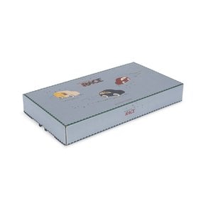 국내공식 콩제슬래드 미니카 MULTI