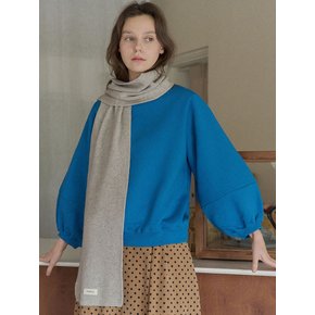Round Volume Sleeve Brushed Sweatshirts - BLUE (기모)
