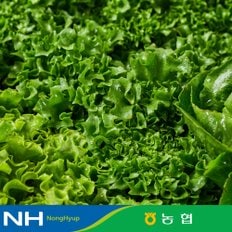 식식한상 [동김제농협] 유러피안샐러드 4종 1kg 야채믹스