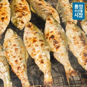 [통영수산물시장] 자연산 전어(급냉) 2kg 24미내외