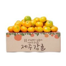 제주 하우스 감귤 소과 4.5kg