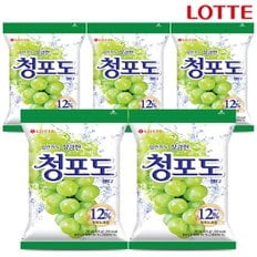  롯데 청포도캔디 323gX5개