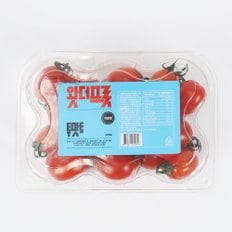 스테비아 토마토 자몽향 4팩 2kg내외