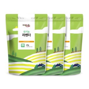 차예마을 허브차 유기농 라벤더 60g x 3팩..