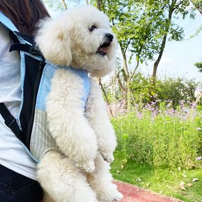 퍼피럽 반려견 강아지 앞가방 포대기 이동가방