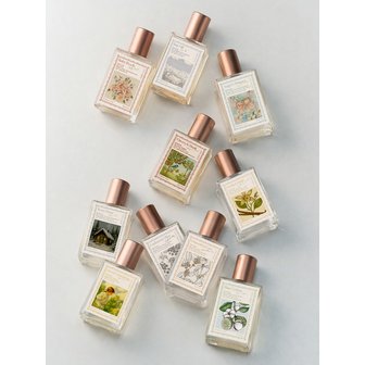 아뜰리에 페이 아뜰리에페이 퍼퓸 중1 단품/기획