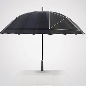 장우산 대형 2인용 큰 우산