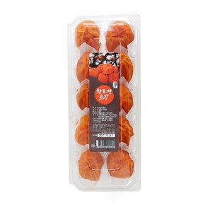 Fresh 일성영농조합법인 황토방 숙성 달콤 곶감 반건시 10구 350g