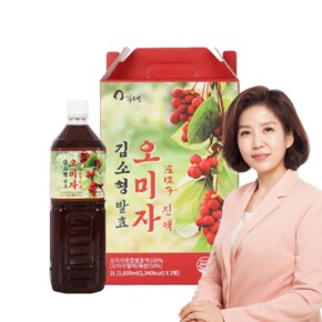 김소형 발효 오미자진액 (1L x 2병) 총 2L