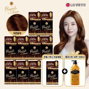 염색제 1박스 무료체험 [엘라스틴] 로열 젤리 염색제 10박스 + 대용량 샴푸 500ml 패키지 (색상