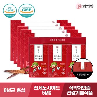 천지양 튼튼쑥쑥 키즈홍삼 30포 x 5박스 /면역력/어린이홍삼 + 쇼핑백