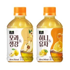 미닛메이드 허니유자24개+모과생강24개 280ml 48패트