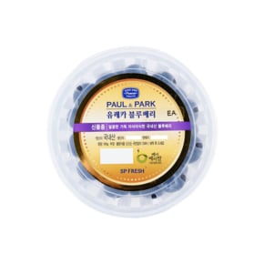 국산 유레카 블루베리 (100g)