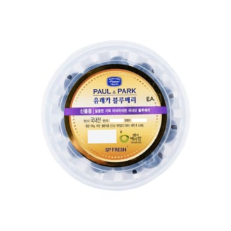 국산 유레카 블루베리 (100g)