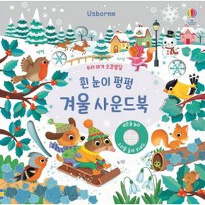 우리 아기 오감발달 흰 눈이 펑펑 겨울 어스본 사운드북 우리아기오감발달흰눈이펑펑겨울사운드북