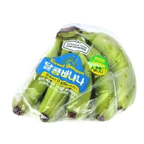 에콰도르산 천천히 익혀먹는 달콤 바나나 1kg