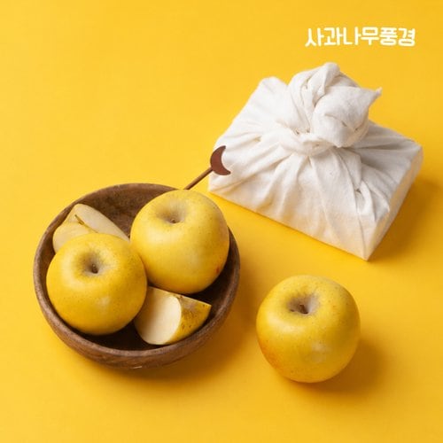 순금사과 3KG(정품/10~15과) 시나노골드