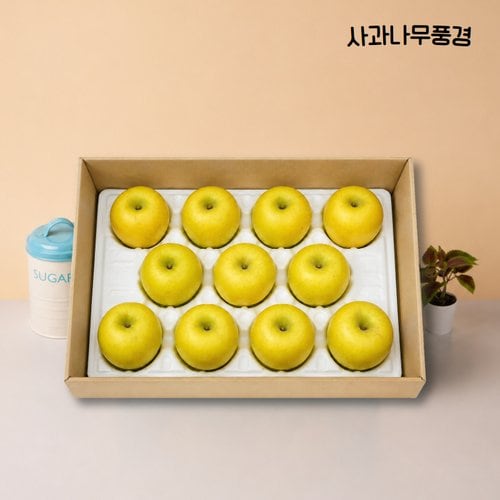 순금사과 3KG(정품/10~15과) 시나노골드