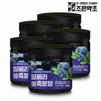 조은약초 빌베리 농축 분말 가루 파우더 대용량 300g x 5