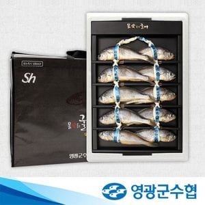 영광군수협 [9/5(목)순차출고][영광군수협]법성포 영광 굴비 실속 오가 선물세트 900g(10미) / 부직포가방 포장