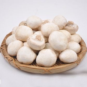 푸르젠 [산지직송] 양송이버섯 파지 1kg /GAP 인증