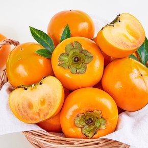 아삭하고 달콤한 진영 단감 제철 햇과일 5kg 왕특 (20과 내외)