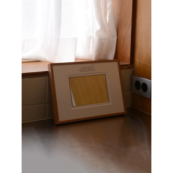 Frame Mirror : A Series Of Moment - S (2type)