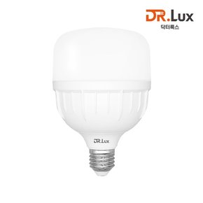 닥터룩스 고용량 LED 전구 T램프 30W 1개입