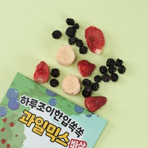 과일믹스 강아지 동결건조 간식 애견 비건 수제 알러지 딸기 바나나 블루베리 25g