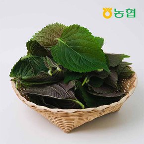 친환경인증 농협선별 추부깻잎 2kg