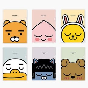 L홀더 파일 화일 낱개 낱권