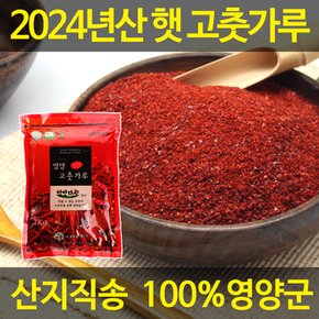 HACCP 영양 일반초 고추가루 500g 조미용(보통맛)