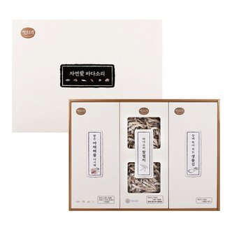 바다소리 만족9호 선물세트(국물팩+멸치+생돌김) / (쇼핑백동봉)