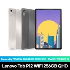 Tab P12 WIFI 256GB QHD 오트 국내정식수입