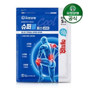 해피홈 슈퍼쿨파스(일체형) 5매